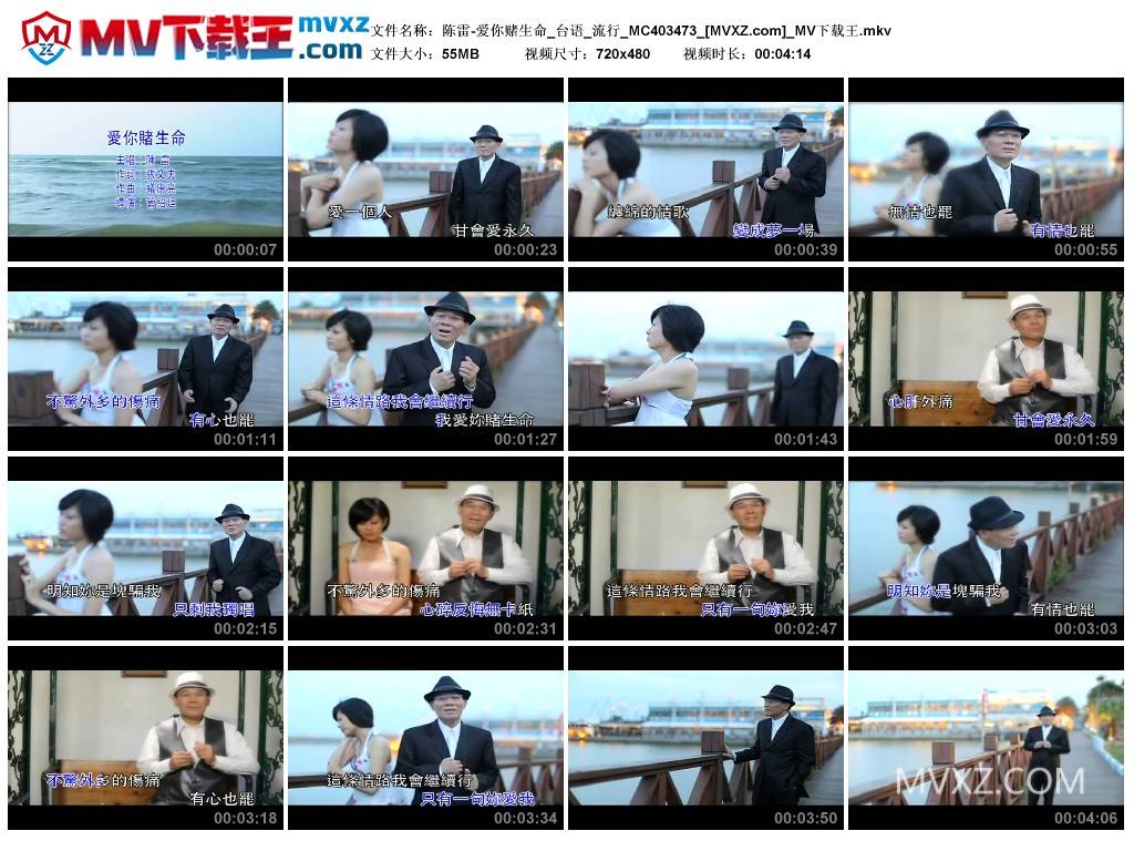 陈雷-爱你赌生命_台语_流行_MC403473